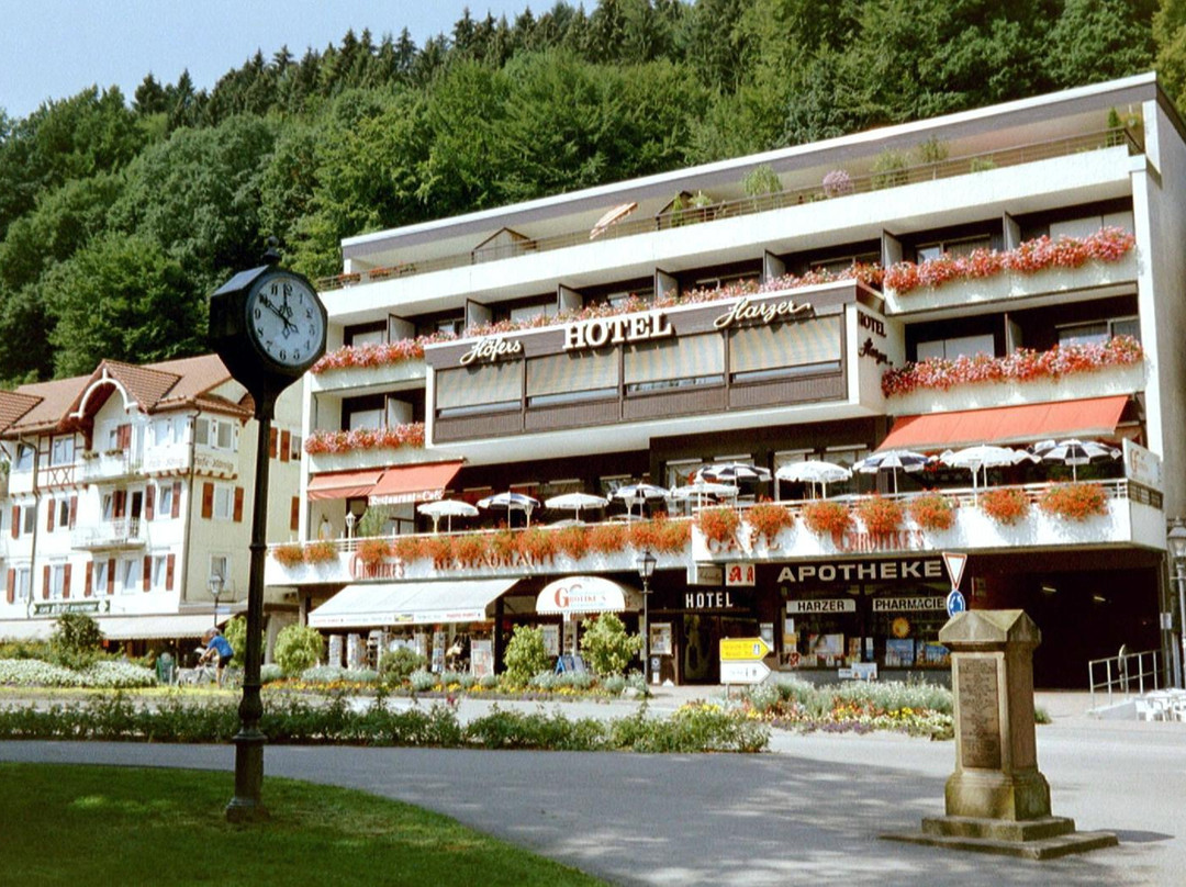 Hotel Harzer主图