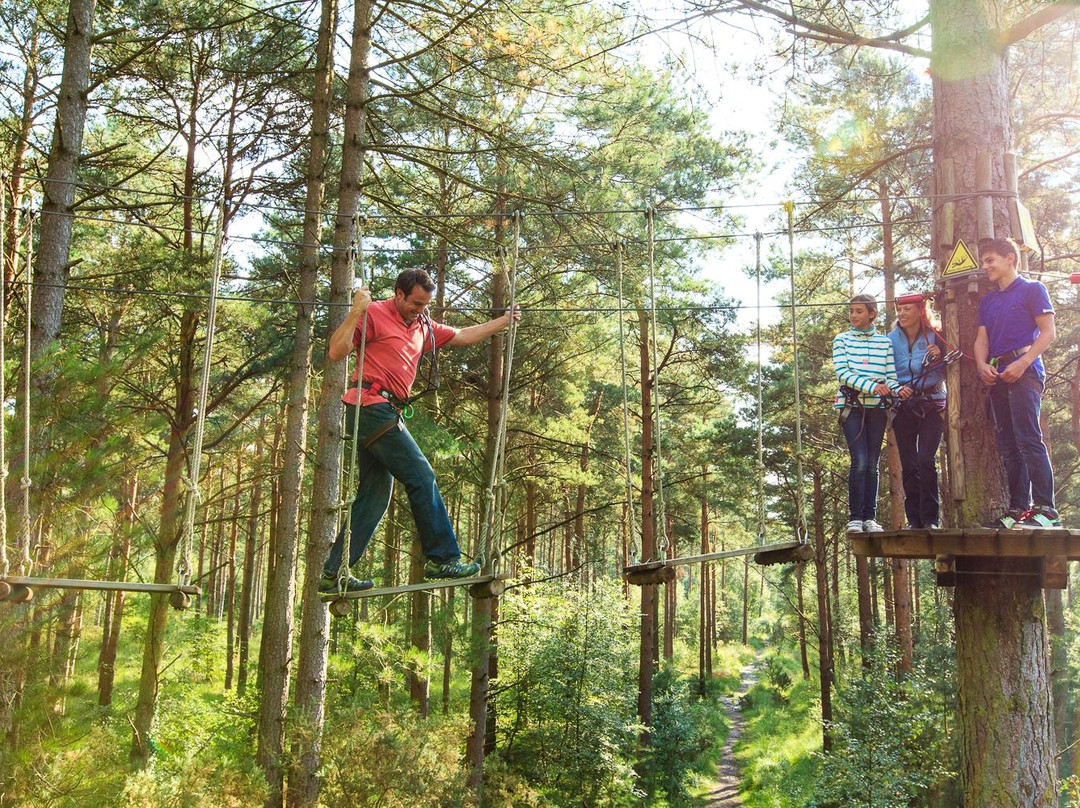 Go Ape Glentress Forest, Peebles-皮布尔斯必去景点