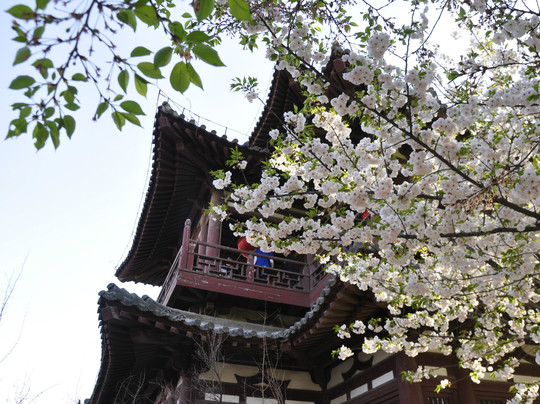 青龙寺-西安市必去景点