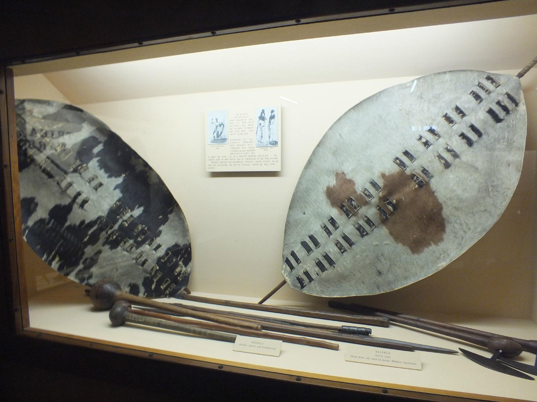 Natural History Museum景点图片