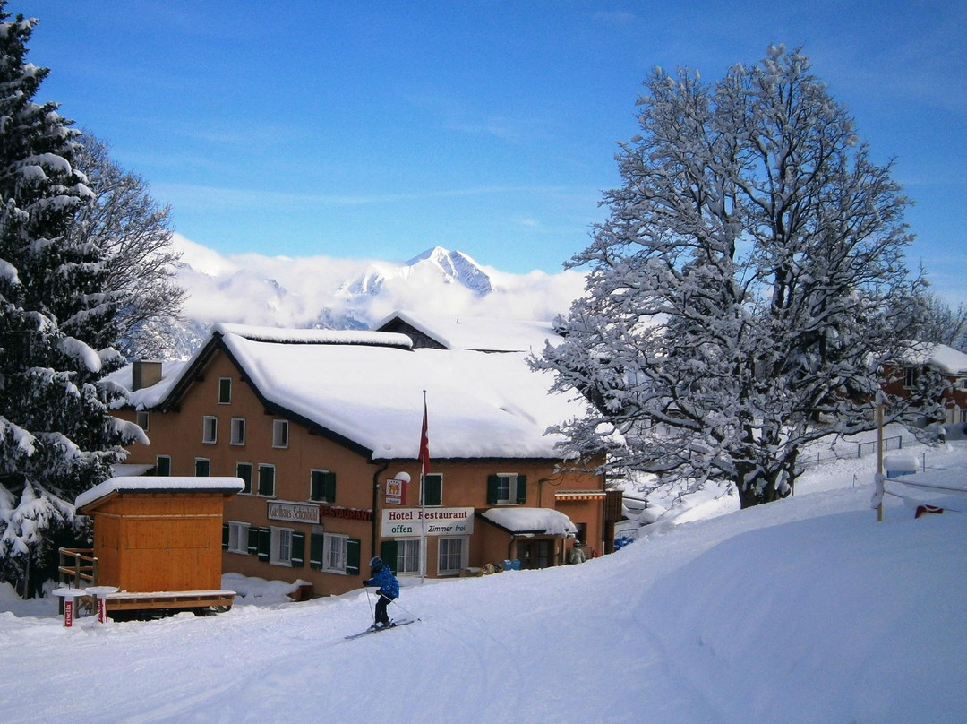 Berghotel Schoenbuehl
