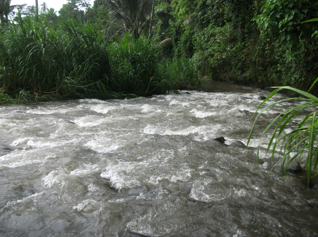 Bali View Rafting-巴厘岛必去景点