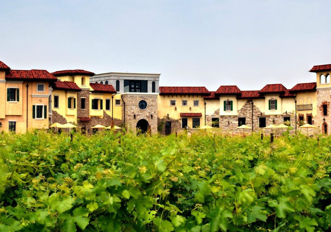 Colaneri Estate Winery-滨湖尼亚加拉必去景点