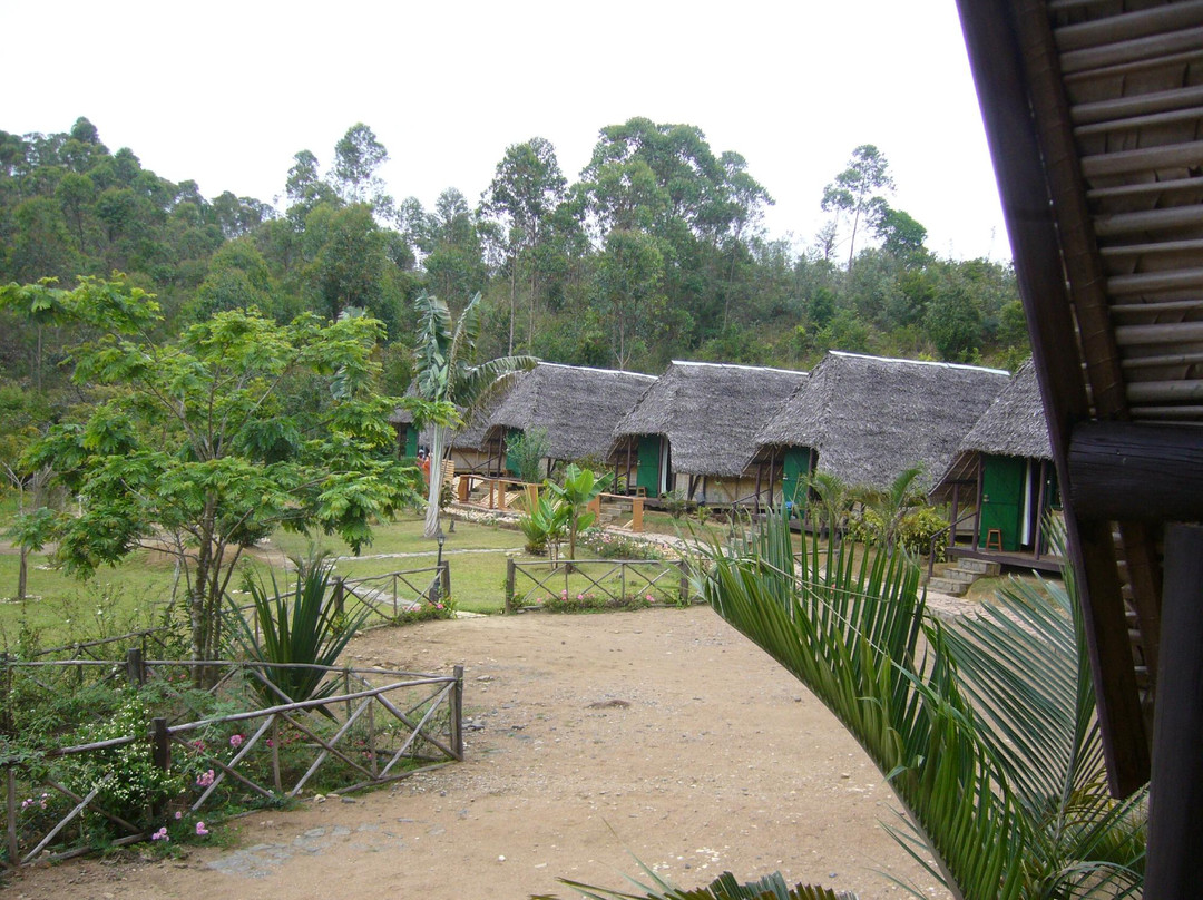 Andasibe Forest Lodge