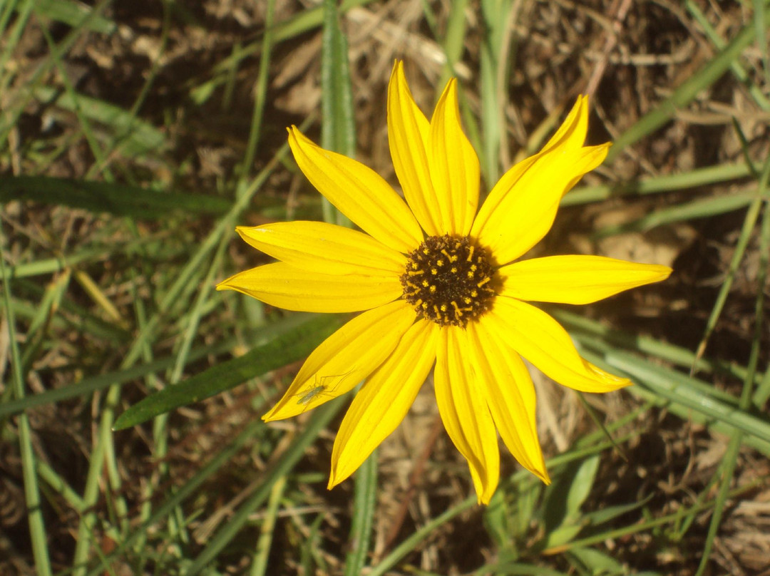 Birdsong Nature Center-Thomasville必去景点