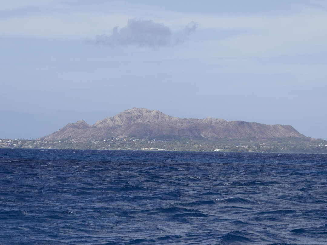 Island WaterSports Hawaii-火奴鲁鲁必去景点