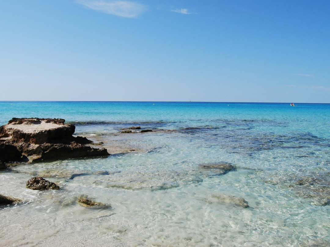 Platja Des Arenals景点图片