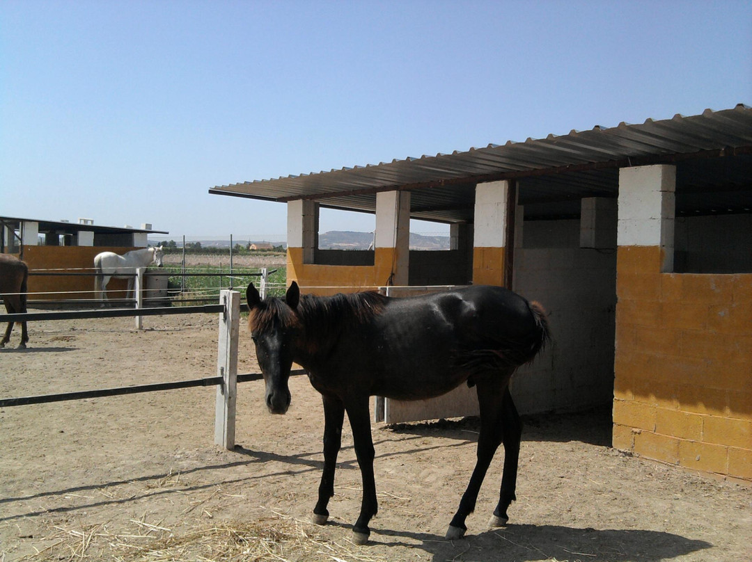 Finca Montana-Almoradi必去景点