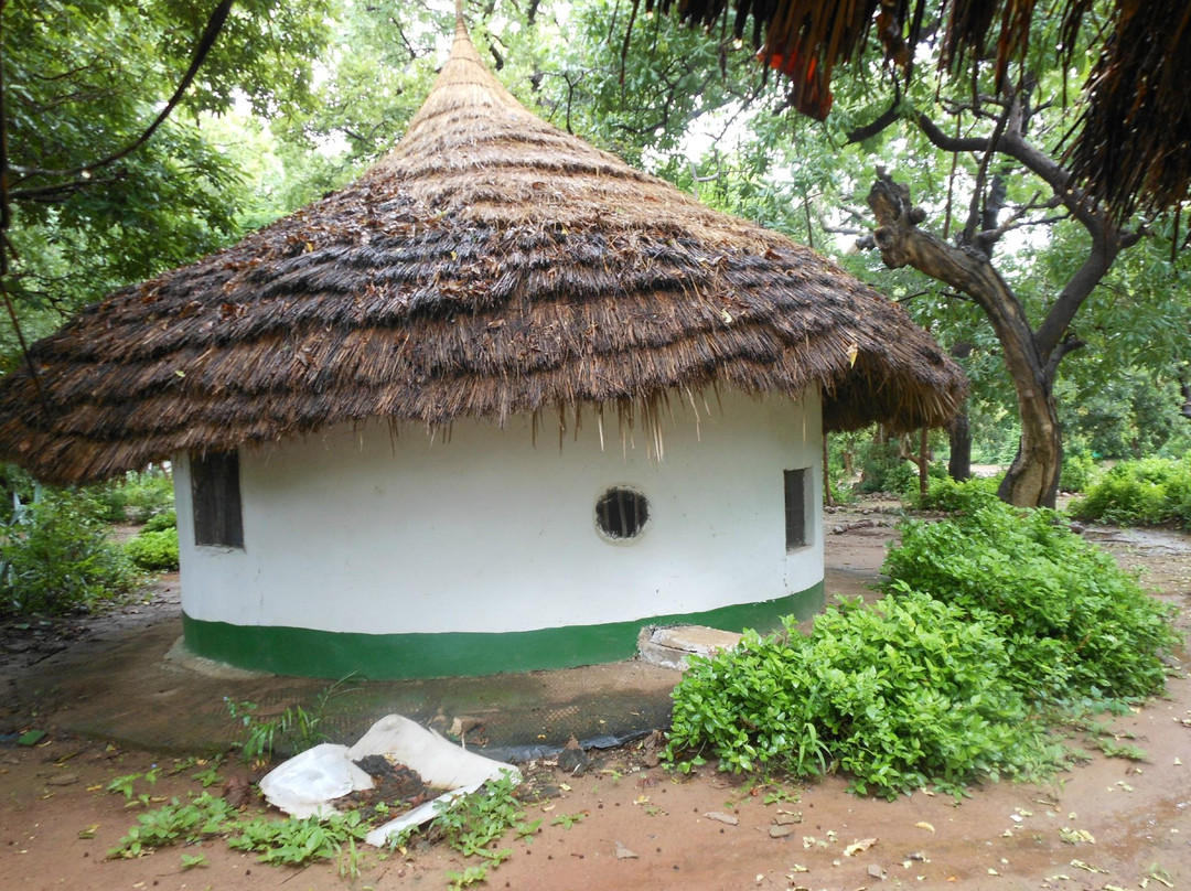 Janjanbureh Lodge