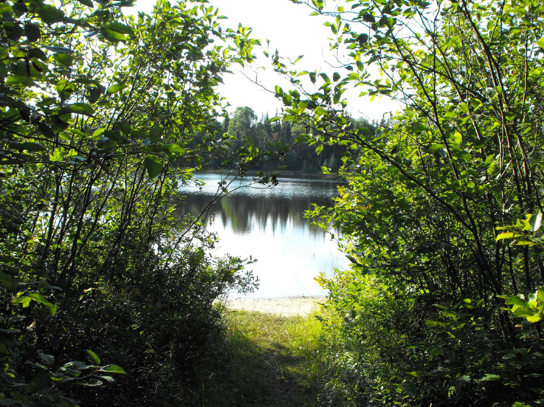 Le Provincialart主图