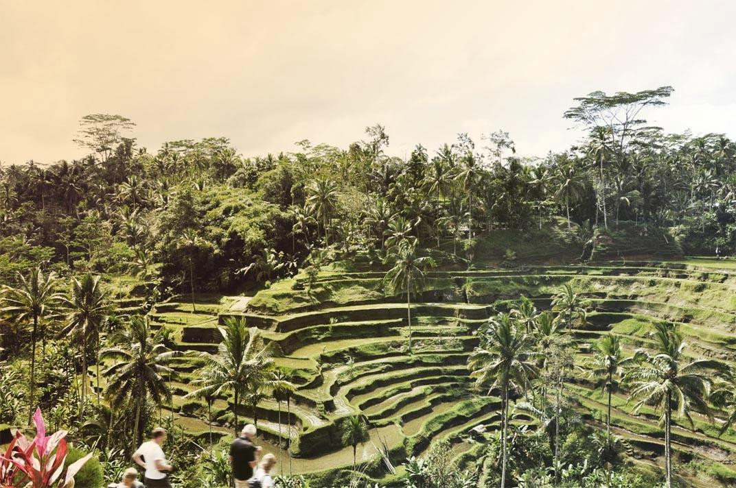 Bali Kadek - Private Tour Driver-巴厘岛必去景点