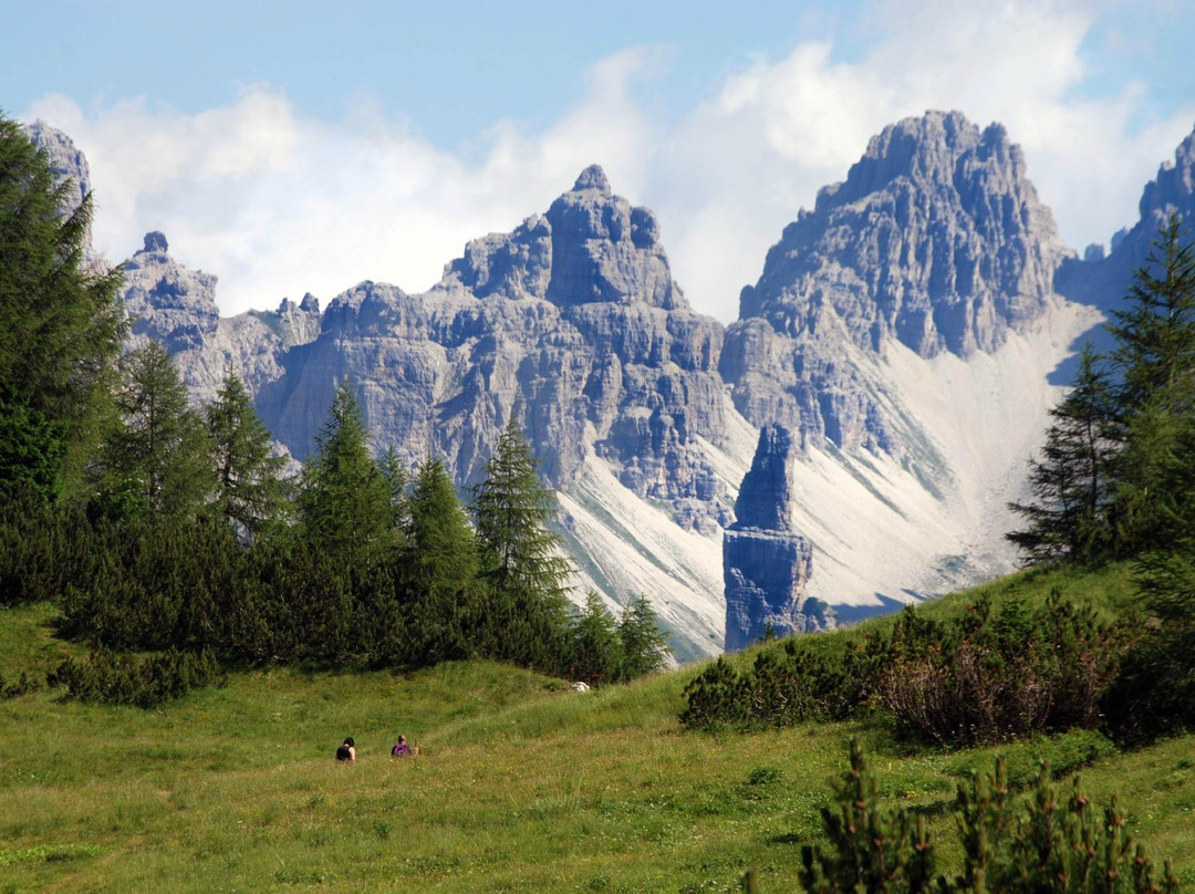 Parco Regionale delle Dolomiti Friulane景点图片