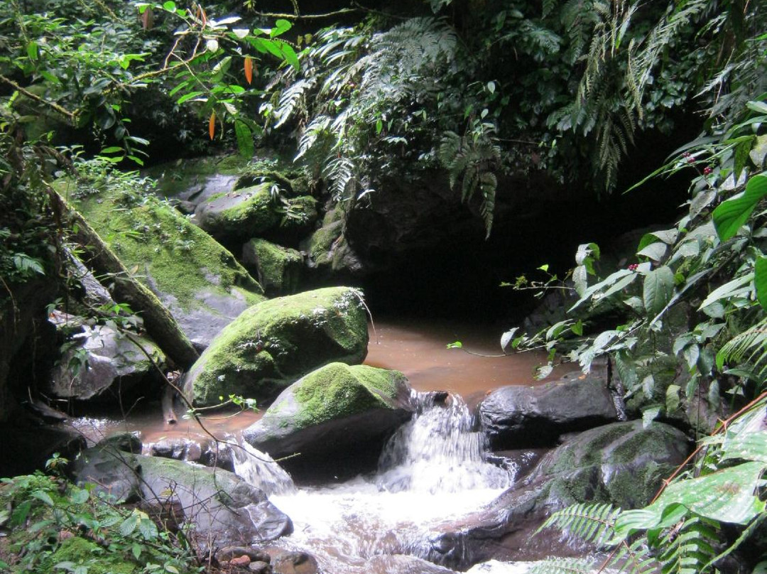 Las Cataratas de Ahuashiyacu-Tarapoto必去景点