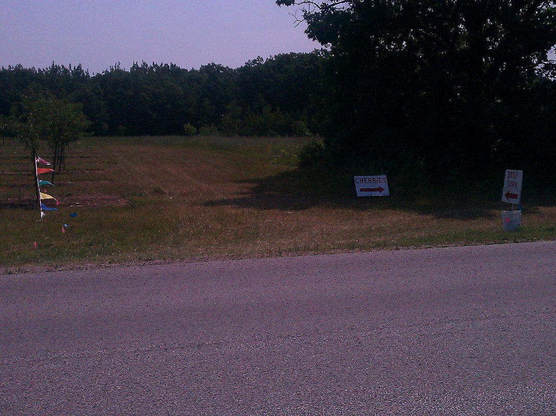 Choice Orchards-斯特金贝必去景点