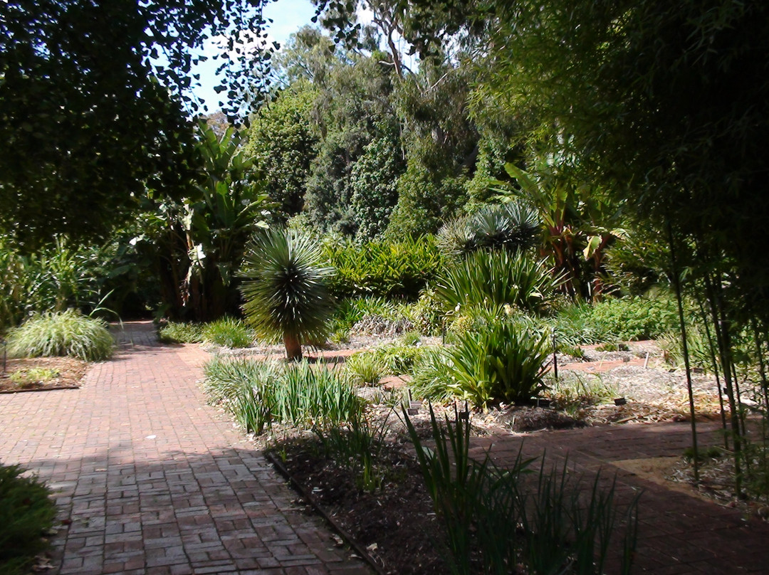 阿德莱德植物园-阿德莱德必去景点