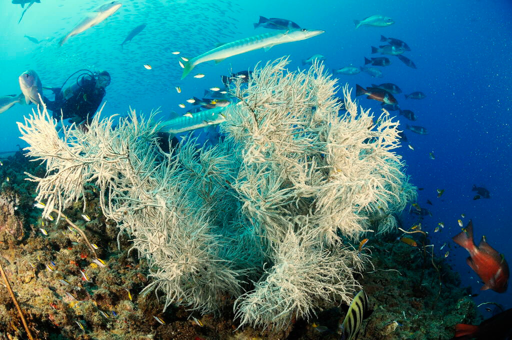 2025年9月Ayr景点攻略-Ayr旅游必去景点-Ayr景点大全-猫途鹰