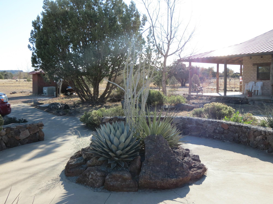 Chihuahuan Desert Nature Center & Botanical Gardens景点图片