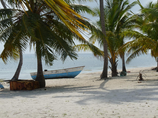Tropical Paradise Excursions-Bayahibe必去景点