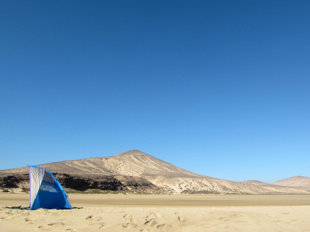 Playa de Sotavento景点图片
