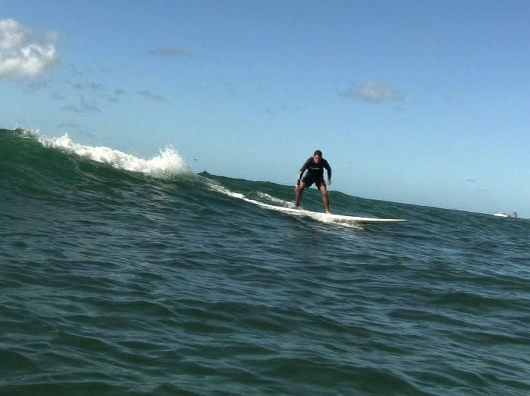 Ty Gurney Surf School-火奴鲁鲁必去景点