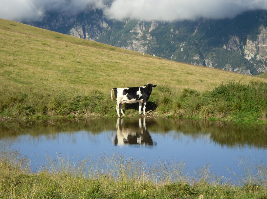 Parco Naturale Regionale della Lessinia景点图片