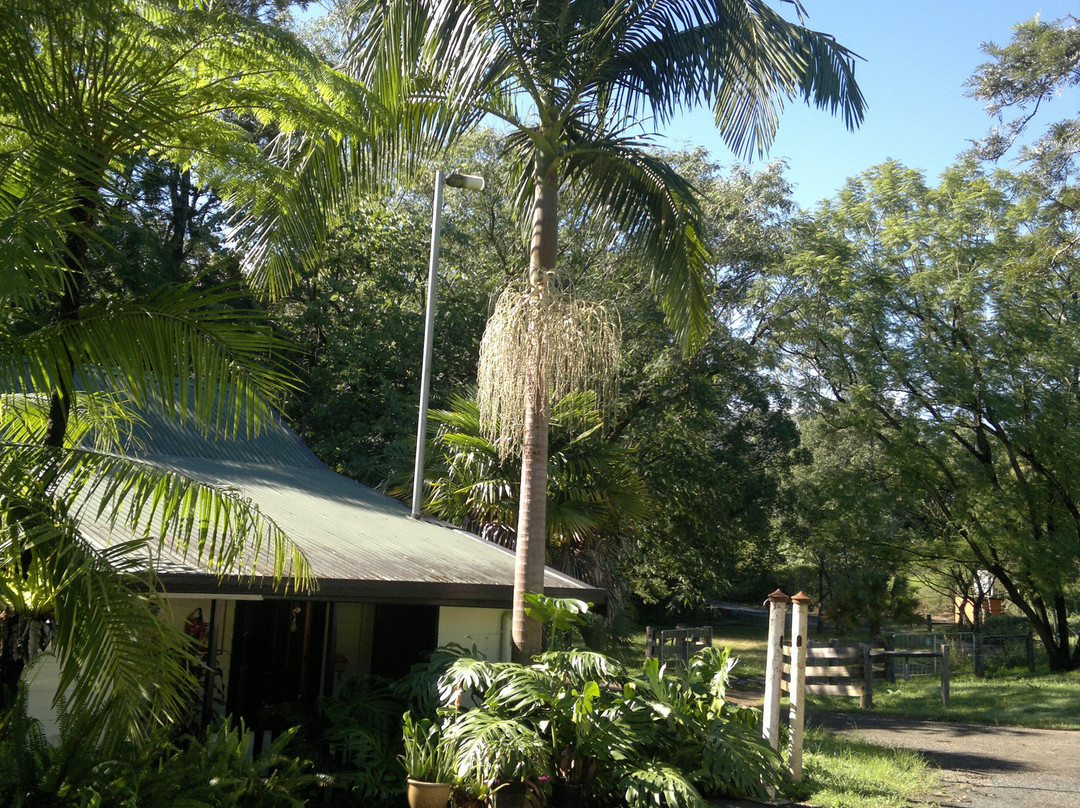 Nimbin Backpackers at Granny's Farm