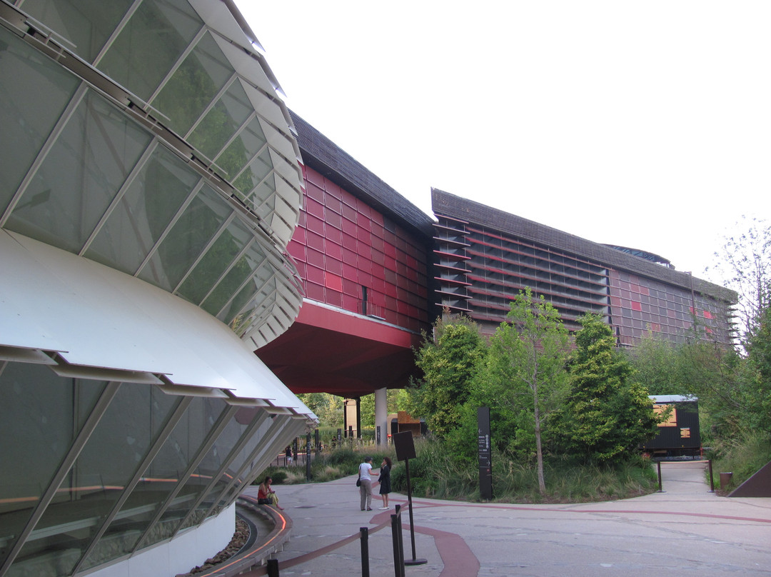 布朗利码头博物馆-巴黎必去景点