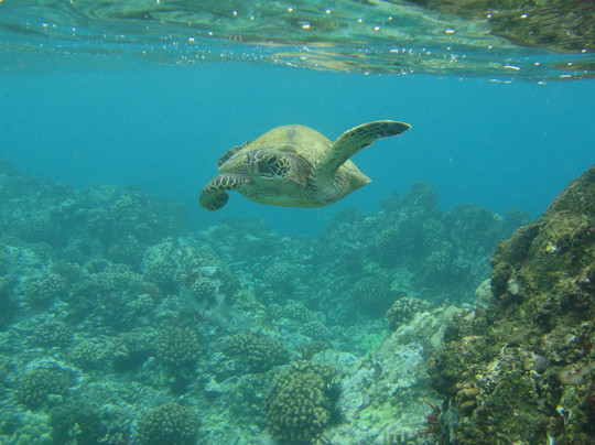 红线漂流公司-基黑必去景点