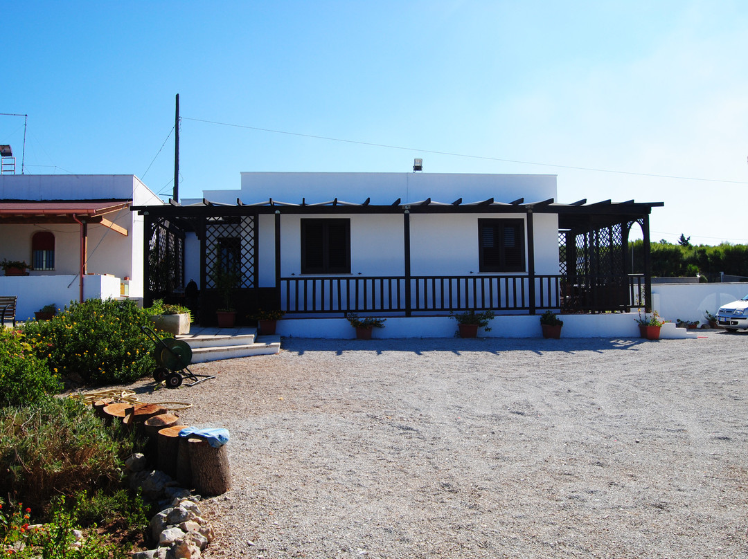 Lido Conchiglie酒店住宿-B&B Panorama