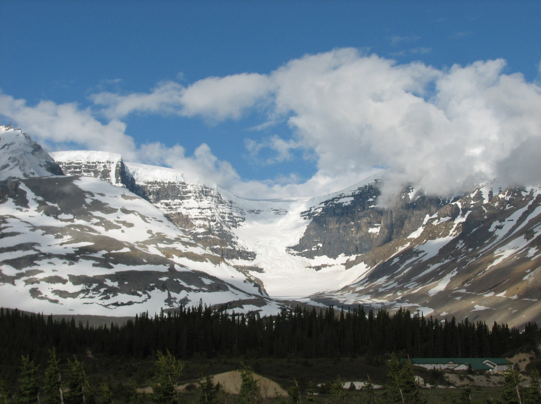 Athabasca Glacier景点图片