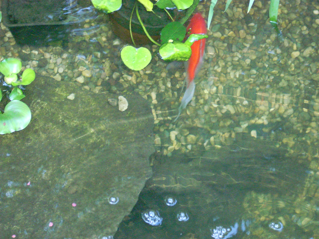 Riverview Guest House主图