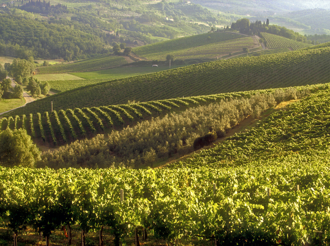 Castello di Albola-拉达因基安蒂必去景点