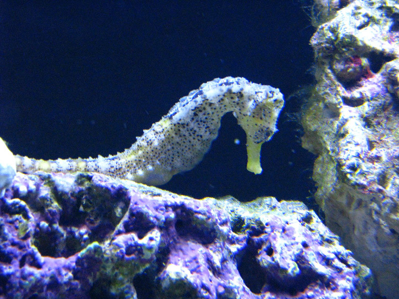 Discovery World-密尔沃基必去景点