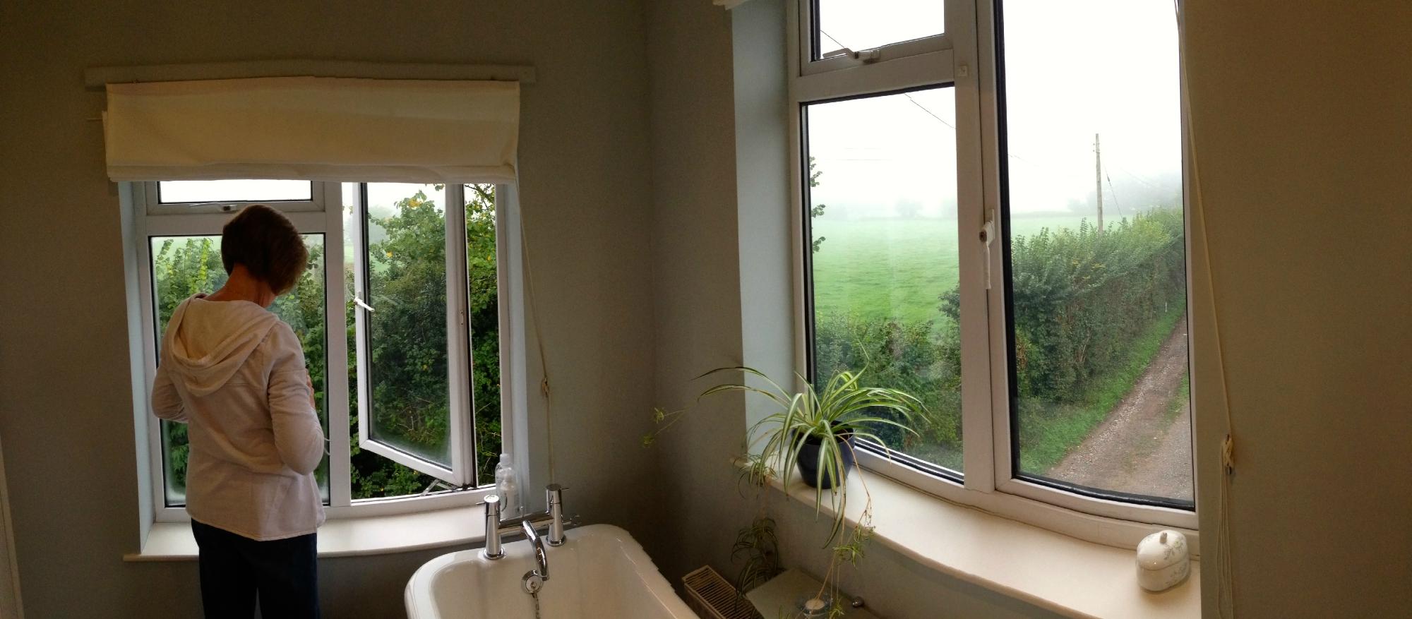 Combe House B&B-浴室