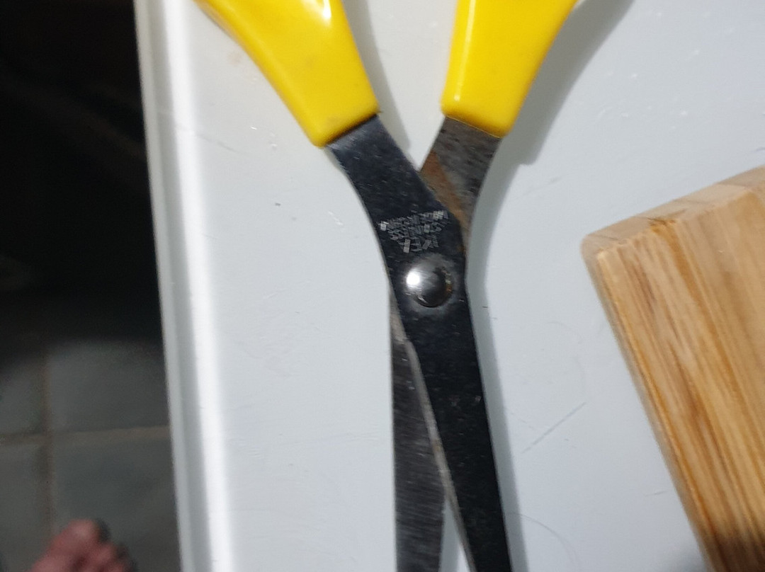 Museum of World Scissors