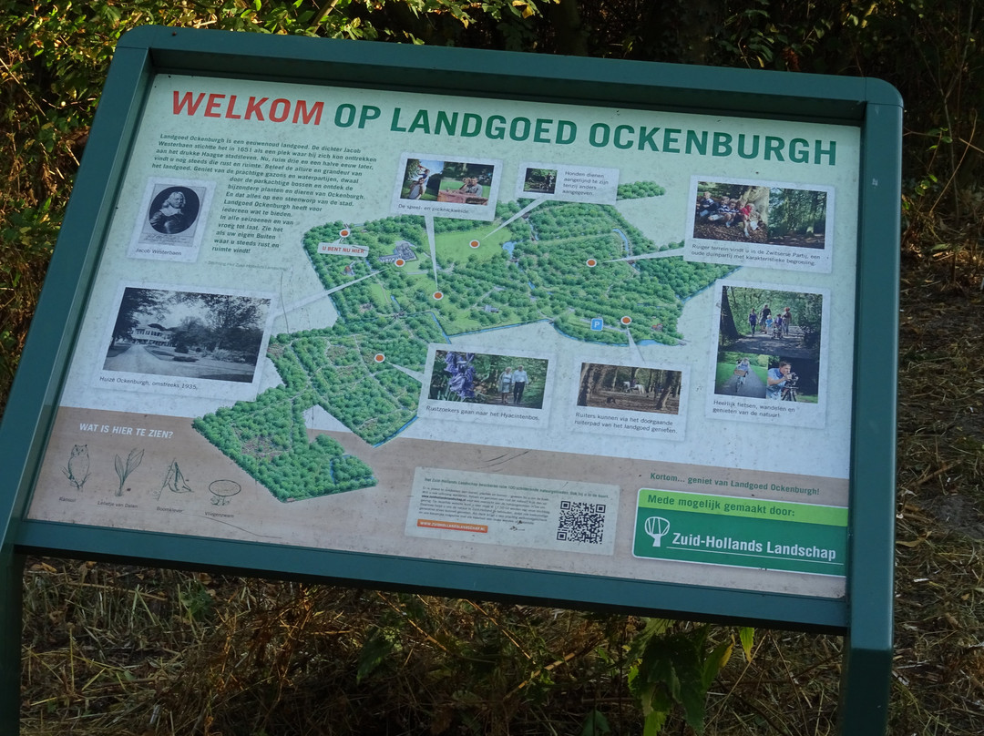 Landgoed Ockenburgh景点图片