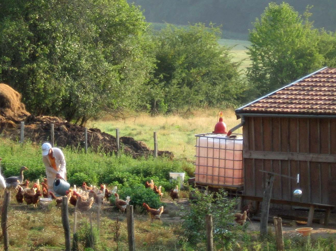 Les Roulottes a la Ferme du Magny-Robert