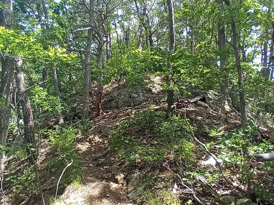 Geumhaksan-洪川郡必去景点