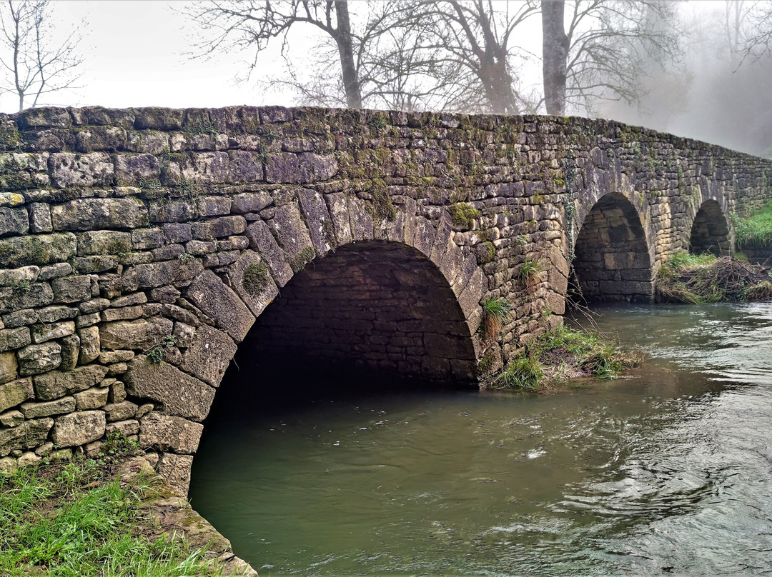 Le Pont Romain景点图片