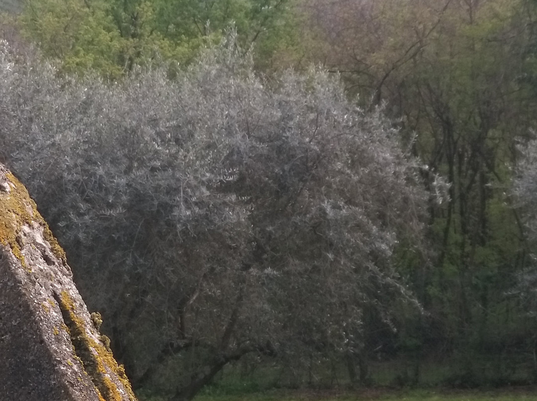 La Borraina B&B主图