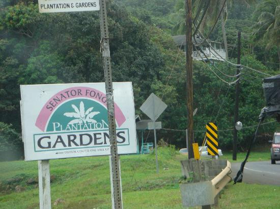 邝友良参议员的种植园和花园-卡内奥赫必去景点