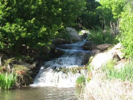 Red Butte Garden-盐湖城必去景点