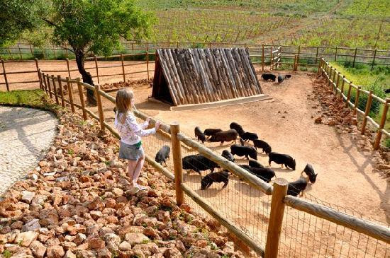 Quinta dos Vales Wine Estate景点图片