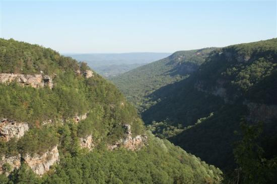 Cloudland Canyon State Park-Rising Fawn必去景点
