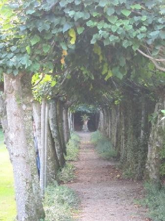 Athelhampton House and Gardens景点图片