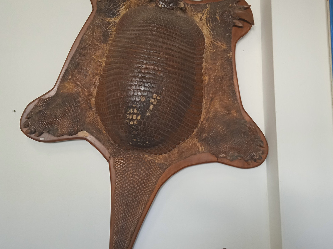 Museo de Geociencias-Tacuarembo必去景点