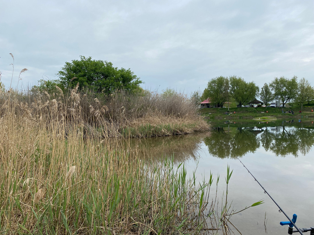 Feldioara Fishing Lake.景点图片