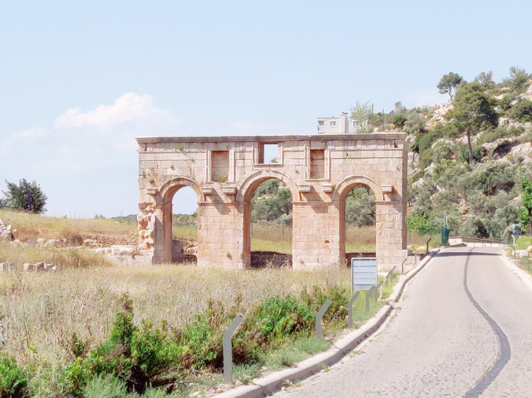 Patara Ruins景点图片