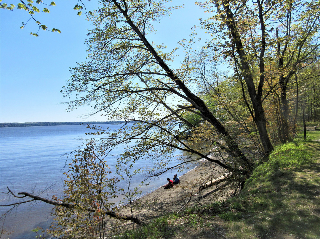 Réserve naturelle du Marais-Léon-Provancher-Neuville必去景点