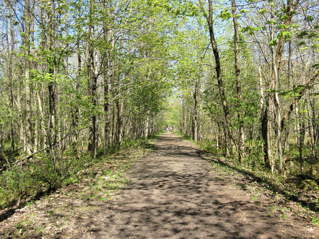 Réserve naturelle du Marais-Léon-Provancher-Neuville必去景点